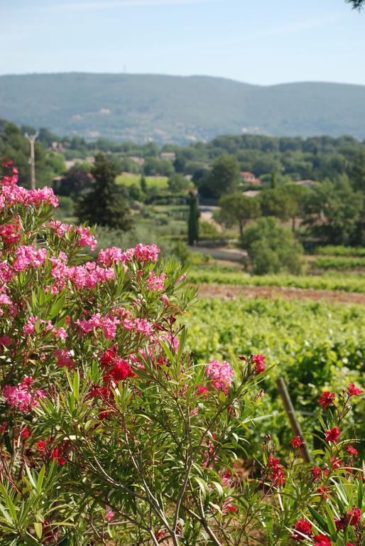 Domaine Rabiega - Vineyard And Boutique Hotel دْراجينْيا المظهر الخارجي الصورة