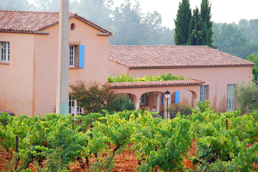 Domaine Rabiega - Vineyard And Boutique Hotel دْراجينْيا المظهر الخارجي الصورة