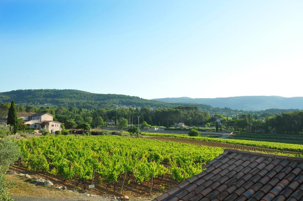 Domaine Rabiega - Vineyard And Boutique Hotel دْراجينْيا المظهر الخارجي الصورة